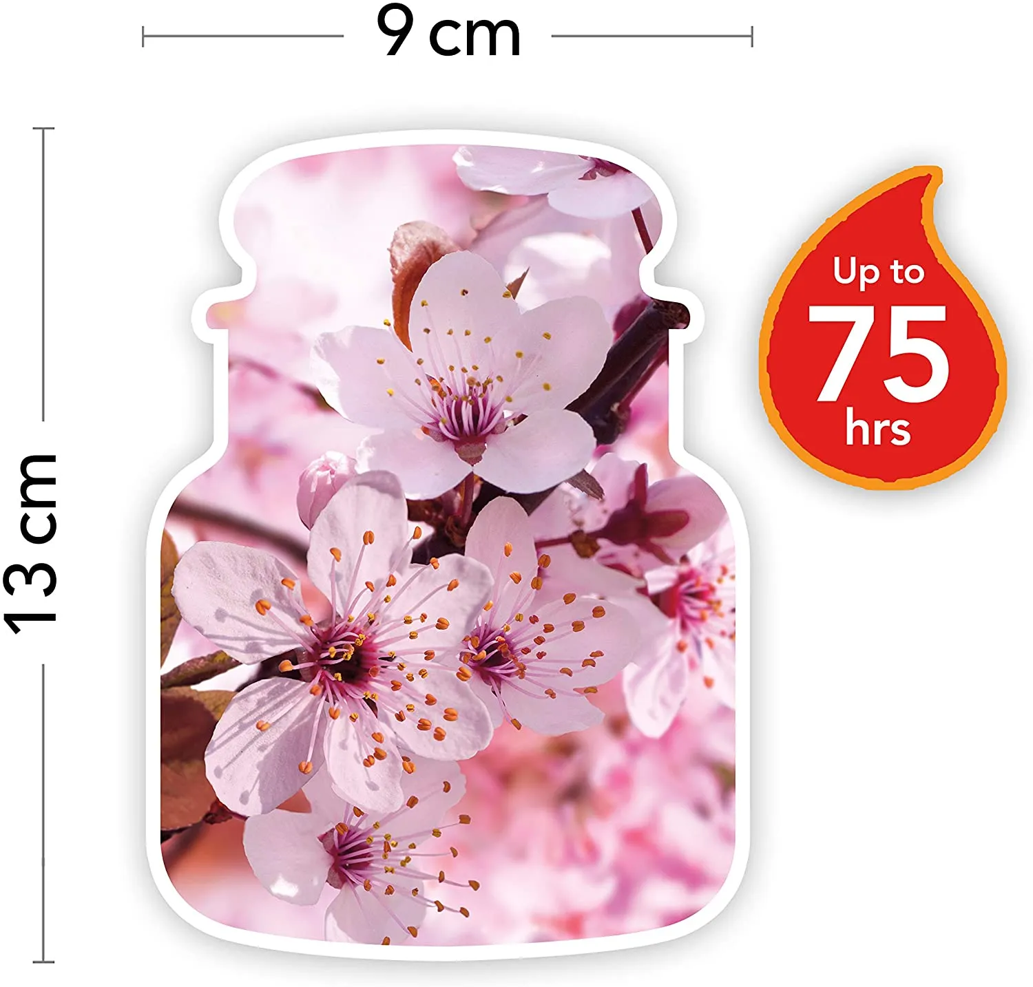 Cherry Blossom ( MEDIUM JAR )