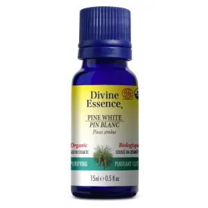 Divine Essence Organic White Pine (15ml)